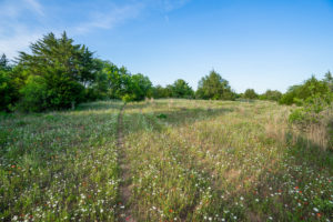 Ranch Listing Image - Red River Texas